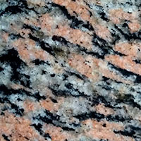 tiger skin